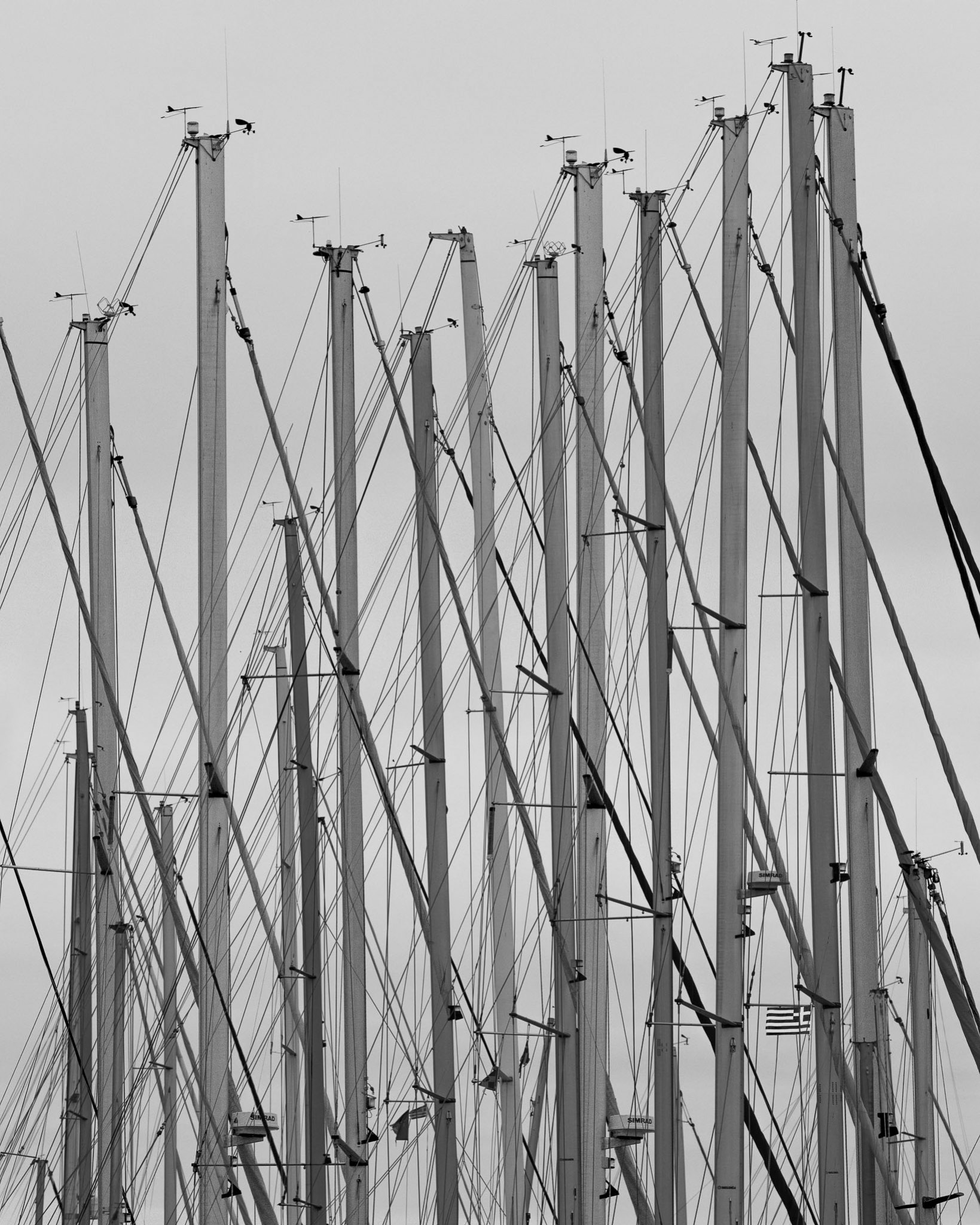 Standing Proud | Thessaloniki, Greece